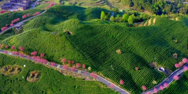 貴陽市建筑設計院帶你秒懂全域土地綜合整治