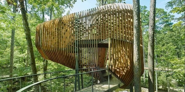 將孩子帶回樹(shù)林 | Evans樹(shù)屋