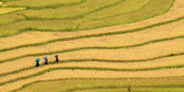 貴陽(yáng)市建筑設(shè)計(jì)院助力內(nèi)江市市中區(qū)全域土地綜合整治，共繪鄉(xiāng)村振興新藍(lán)圖