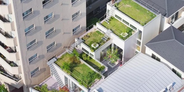 創(chuàng)造‘綠色’，東京層疊花園宅 / MAMM DESIGN