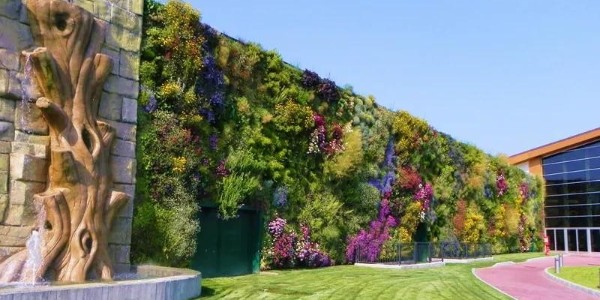 驚艷極了，還能這樣做綠化？