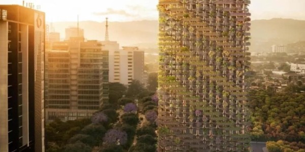 這才叫綠色建筑！用木頭代替鋼筋水泥，30000多植物栽在陽臺！